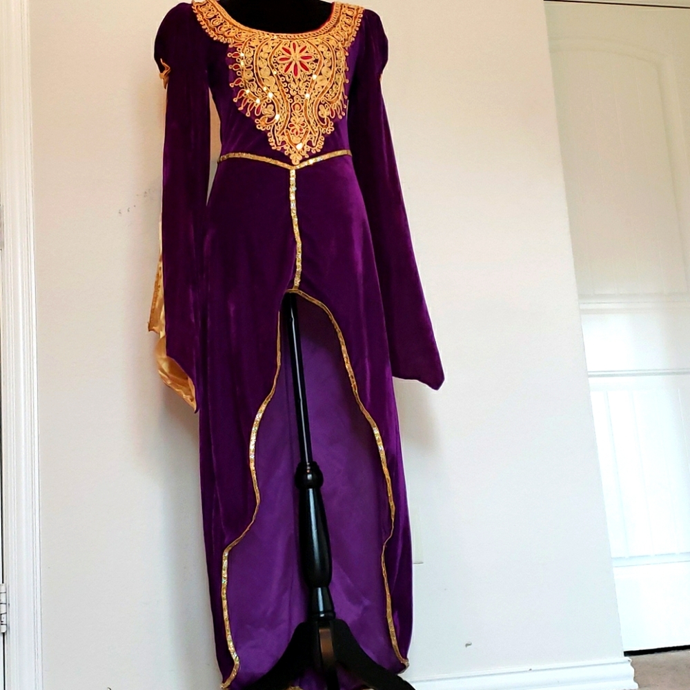 Party City Purple and Gold Maxi Dress